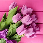 Cover Image of Tải xuống Pink Tulips Live Wallpaper 6.0 APK