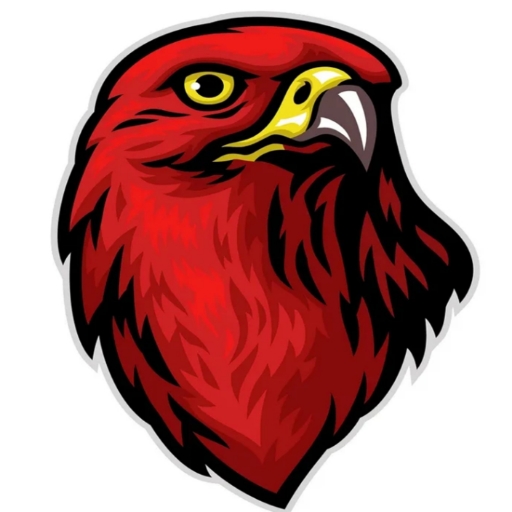 VEAGLE VPN logo