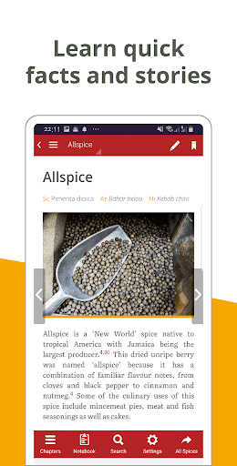 Dubai Spice Souk Guide Screen 3