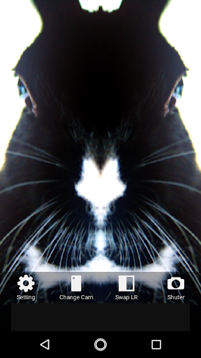 Symmetrical Camera Screen 3
