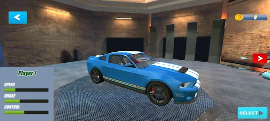 Mustang Parking Simulator