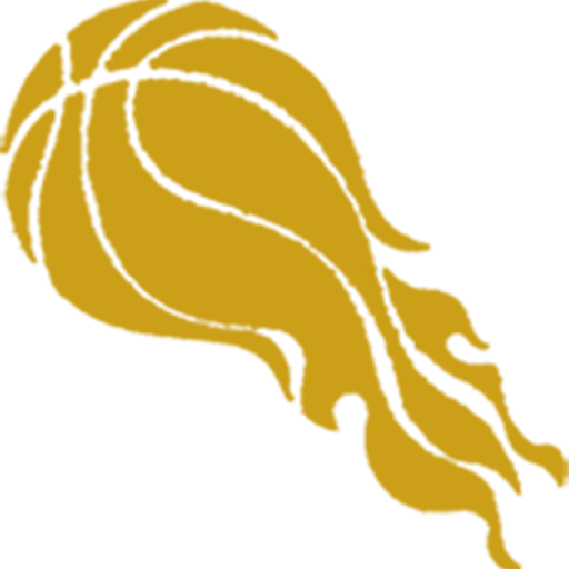 DataSportBet logo