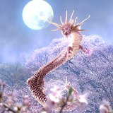 Sakura Dragon Moon icon