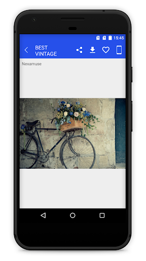 Vintage Wallpapers Screen 3