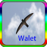 walet icon