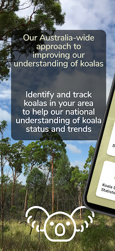 Koala Spotter Screen 2