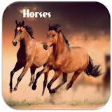 Horses Neighing icon