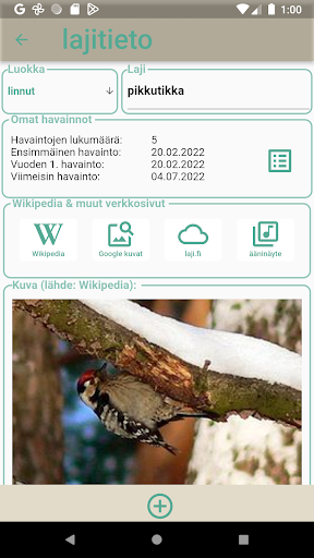 bbong Screen 3