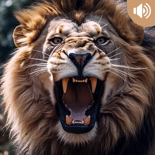 Lion Sounds 3.0.0 Icon