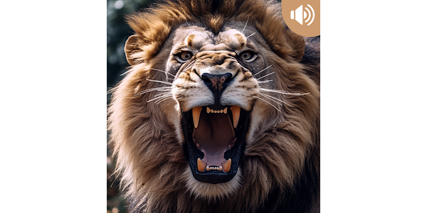 Lion Roar Sounds Effect - Apps on Google Play