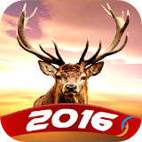 Deer Hunting Simulator 2016 icon