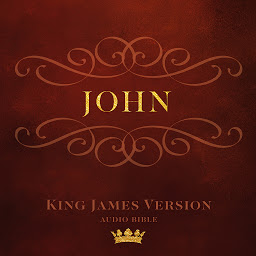 Symbolbild für Book of John: King James Version Audio Bible