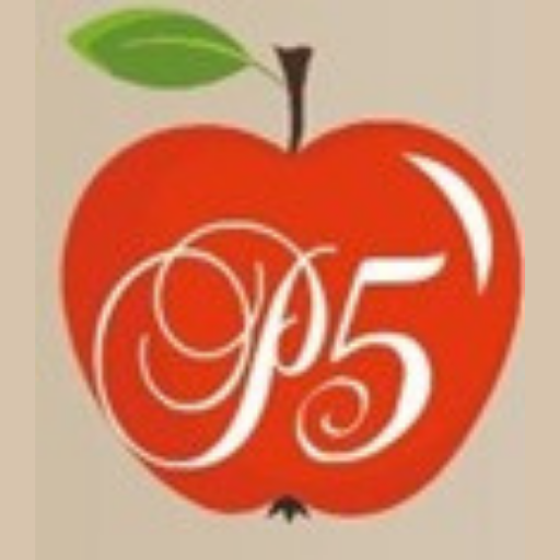 P5 logo