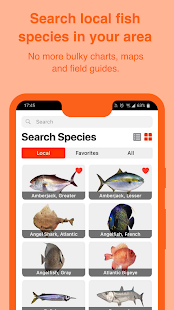 FishVerify: Species Identification & Regulations