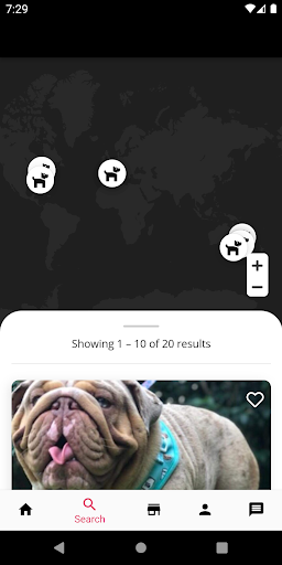 Stud Dog Screen 2