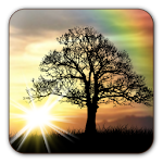 Cover Image of Download Sun Rise Free Live Wallpaper  APK