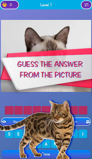 Android application Guess the cat - quiz game screenshort