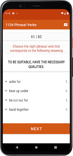 1134 Phrasal Verbs Screen 3