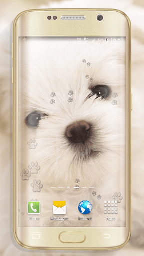 Cute Dogs Live Wallpaper