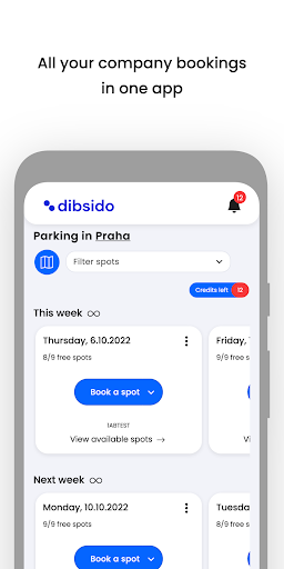 Dibsido Screen 3