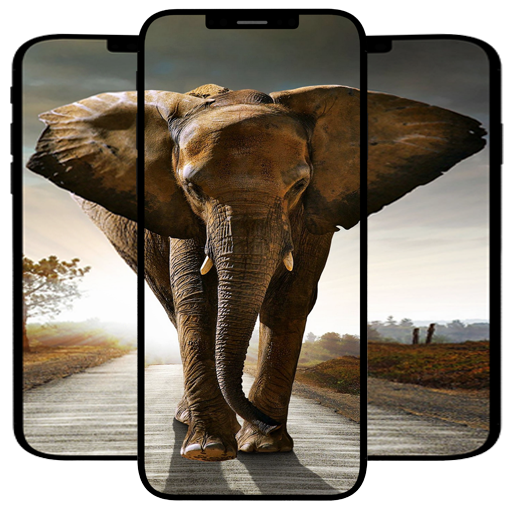 Elephant Wallpapers Download on Windows