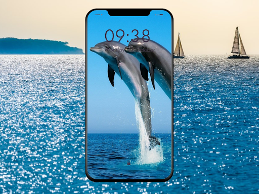 Cute Dolphin Wallpaper