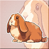 Mini Lop Rabbit Escape icon