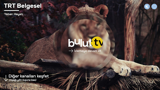 Bulut TV - IPTV Türkiye