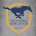 Austin Classical Athletics