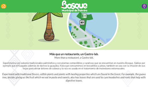 Bosque Municipal Palmira