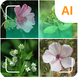 Plant identifier icon