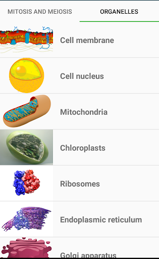 Mitosis, Meiosis, Organelles Screen 2
