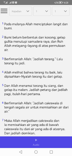 Android application BiblePro screenshort