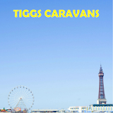 Tiggs Caravans icon