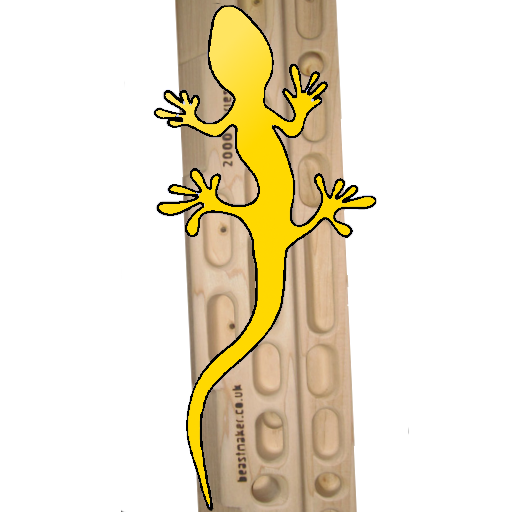 LizardEdge for Beastmaker 2000