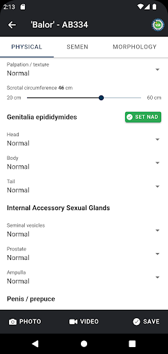 The Bull App Screen 3