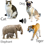 Cover Image of Download Animal sounds for kids  APK