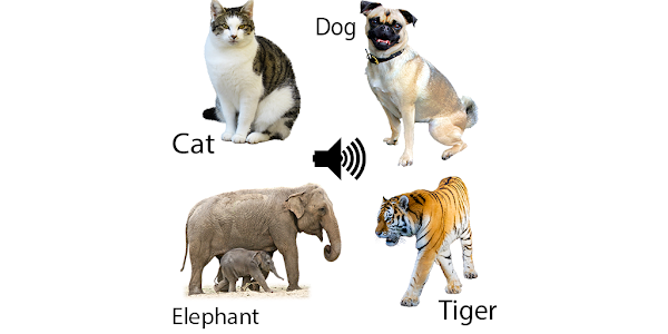 Animal sounds for kids – Apps on Google Play