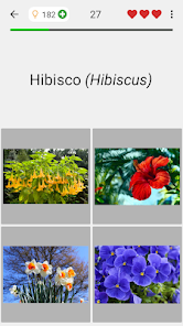 Captura 4 Flores: Identifica las plantas android