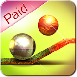 Balance Ball 3D (paid) icon