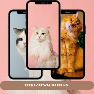 Cat Wallpaper Full HD