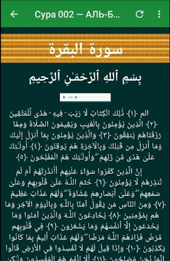 Коран в России