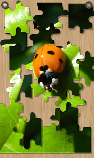 PuzzleX Screen 2