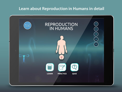 Reproduction in Humans