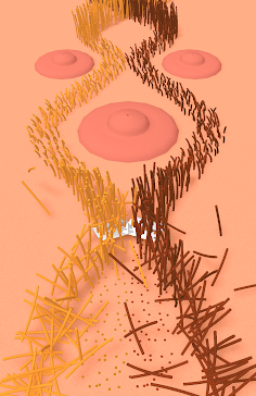 Shave Run - Screenshot 1