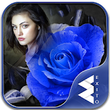 Blue Rose Photo Frames icon