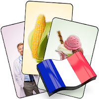French Flash Cards with 408 Cards for Learning