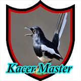 Master Kicau Kacer icon