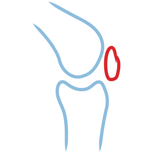 JoHo Ortho-App logo