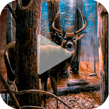 Deer Animated Wallpaper icon